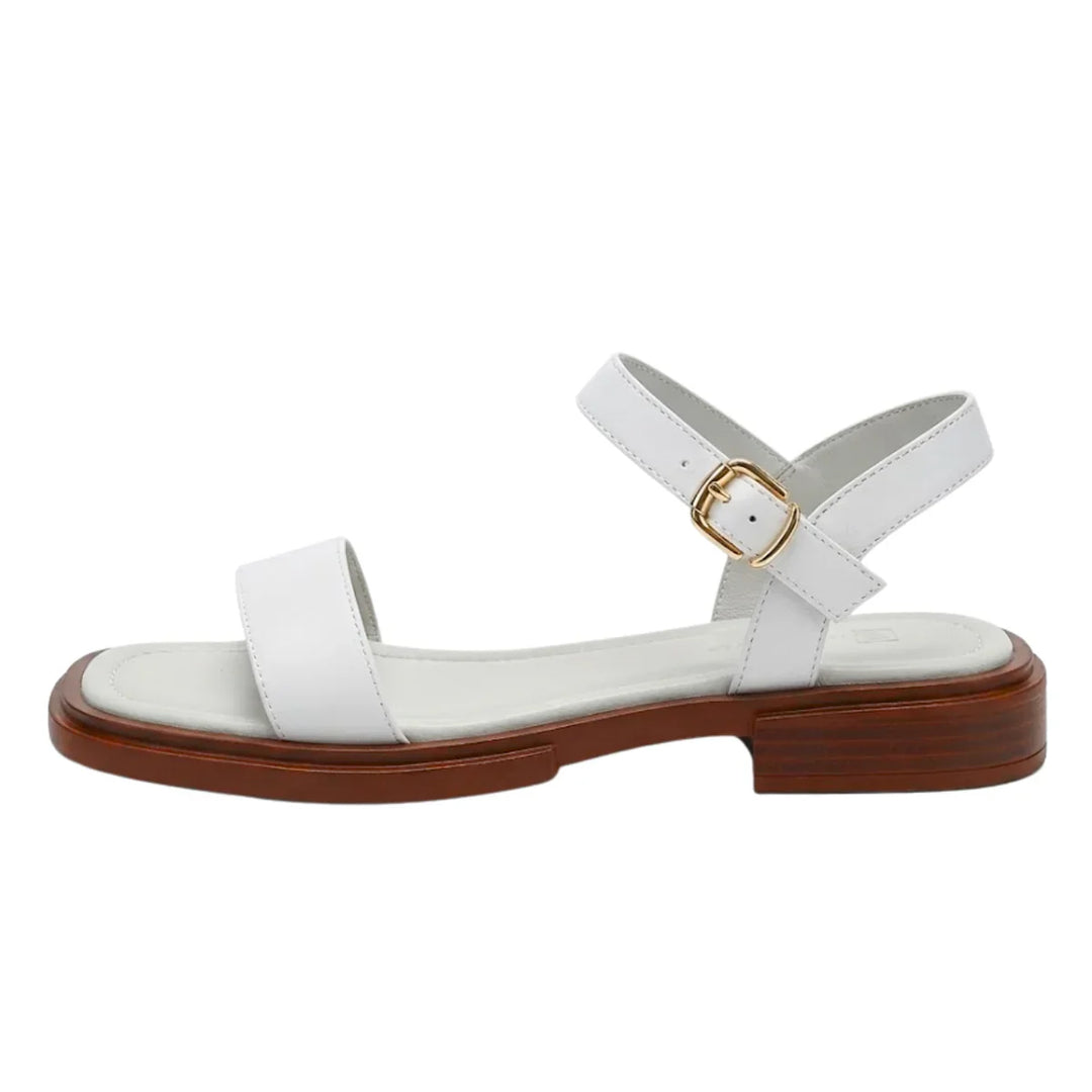 Rear view of women's flat sandals showing raised heel counter and sole construction