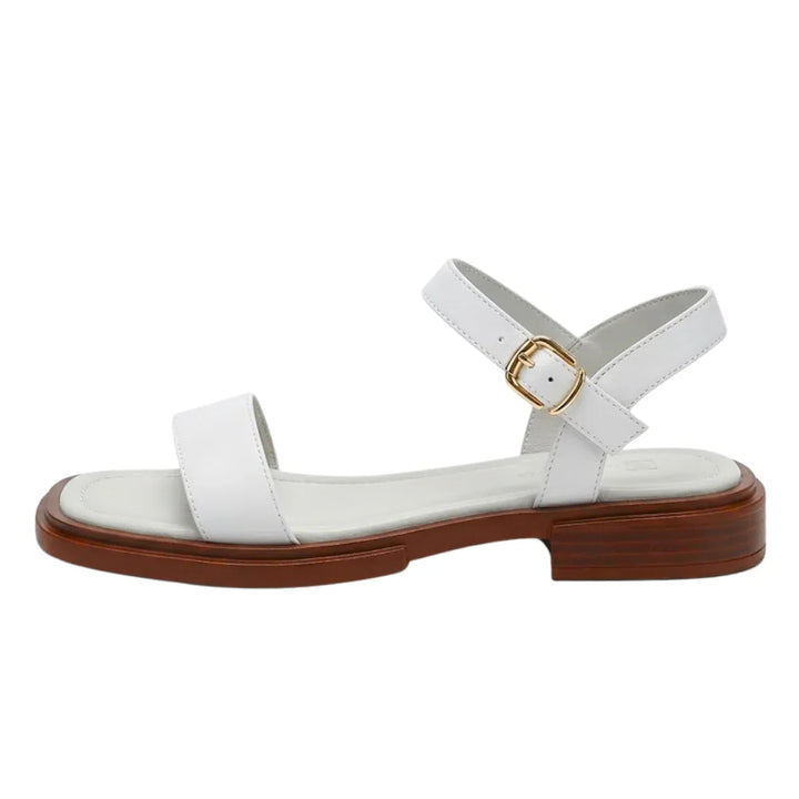 Rear view of women's flat sandals showing raised heel counter and sole construction